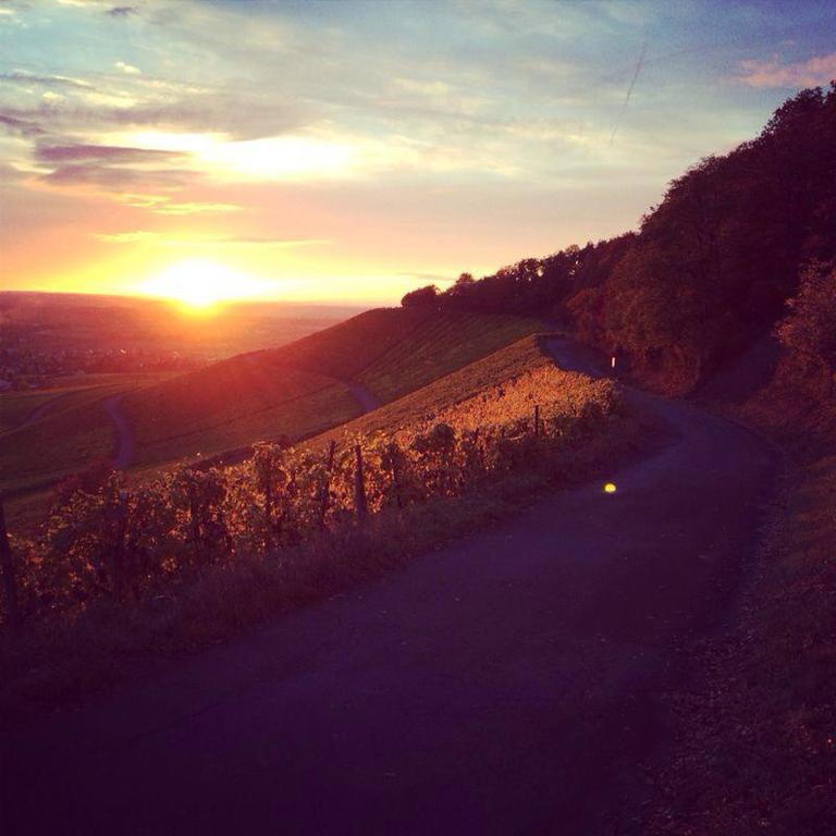 Weingut Gaestehaus Weigand Iphofen Bagian luar foto
