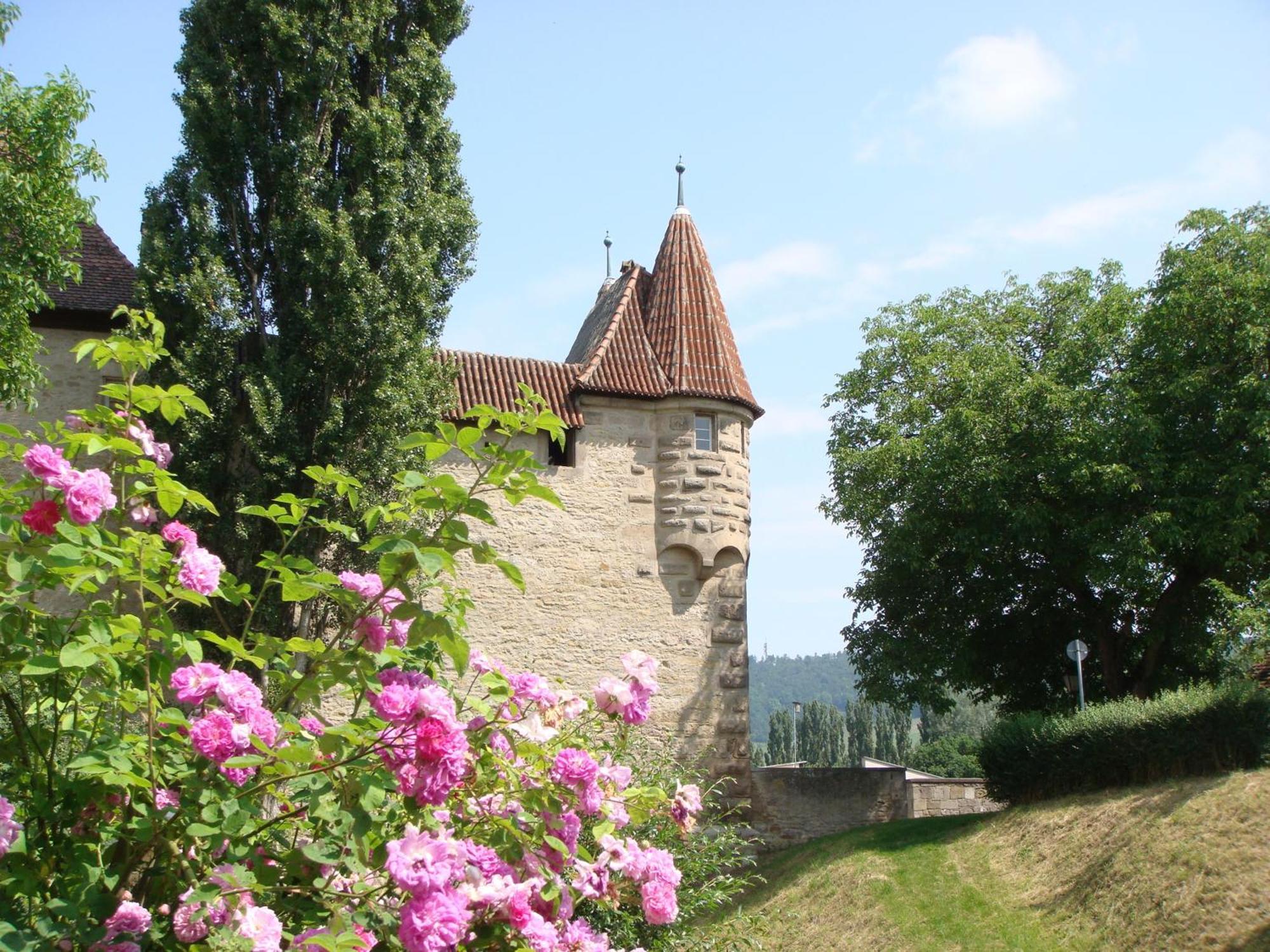 Weingut Gaestehaus Weigand Iphofen Bagian luar foto