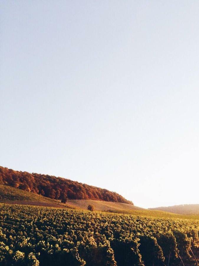 Weingut Gaestehaus Weigand Iphofen Bagian luar foto