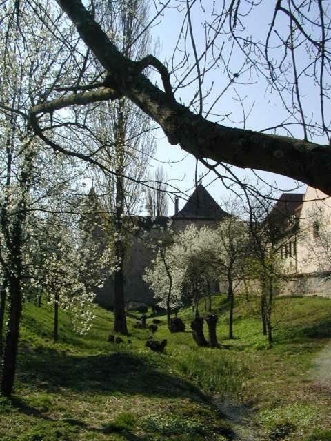 Weingut Gaestehaus Weigand Iphofen Bagian luar foto